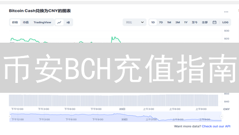 币安BCH充值指南：快速到账的秘诀与常见问题解答！