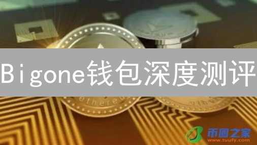 Bigone钱包深度测评：安全性、功能性与费用全方位解析！