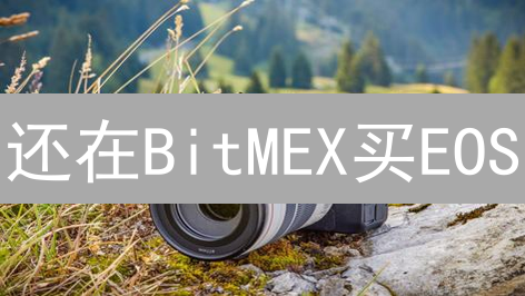 还在BitMEX买EOS？五大渠道教你玩转柚子币！