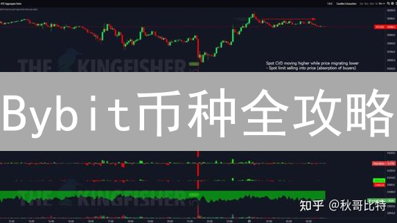 Bybit币种全攻略：新手也能玩转合约，抓住暴富机会！