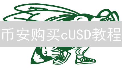 币安购买cUSD教程：抓住DeFi新机遇！新手必看